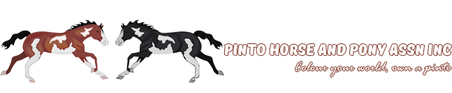 Pinto Horse and Pony Association